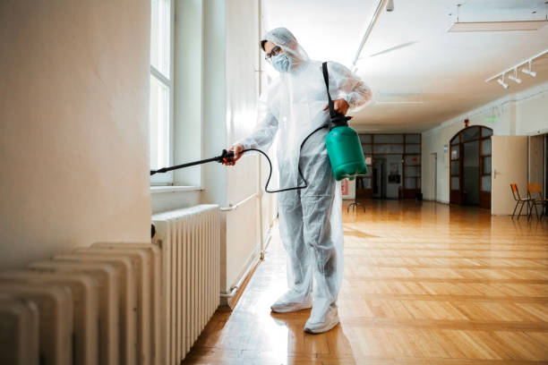 Best Commercial Pest Control  in Seven Mile, AZ